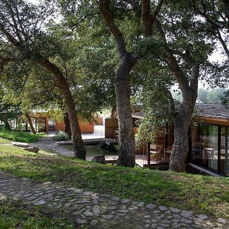 Wood Mood Lodges Cristelo  Екстериор снимка